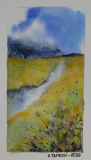 Paysage 